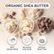 10 LB - Shea Butter Soap Base Bulk - SLS Free, No Palm Oil, Vegan & Cruelty Free - Organic, Moisturizing Shea Butter Melt and Pour Soap Base for Soap Making - (10 Pound)